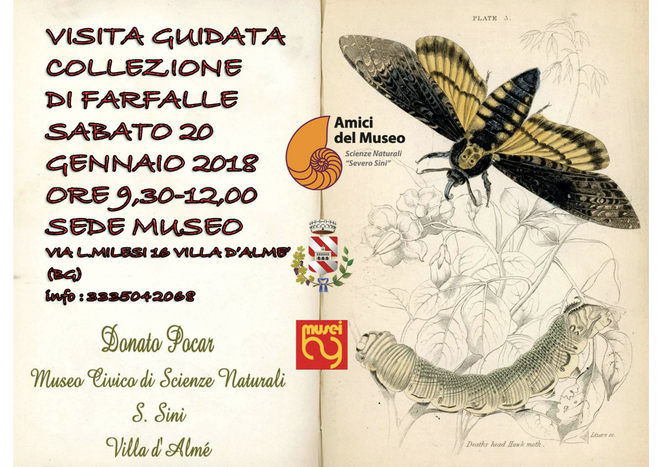 Museo S. Sini 